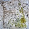 Photograph of face 1(from ??)