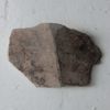 Photograph of fragment 8
