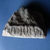 Photograph of face 1(from ??)