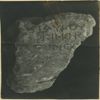 Photograph of face (from ??)